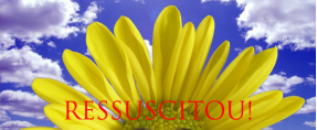 Ressuscitou